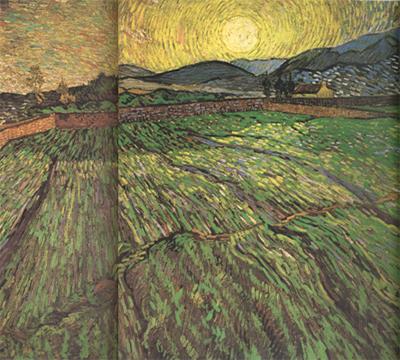 Vincent Van Gogh Enclosed Field with Risihng Sun (nn04) Norge oil painting art